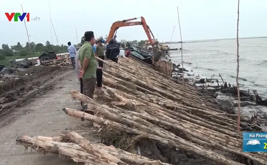 Sạt lở nghiêm trọng tuyến đê biển Tây, Cà Mau do nước biển dâng