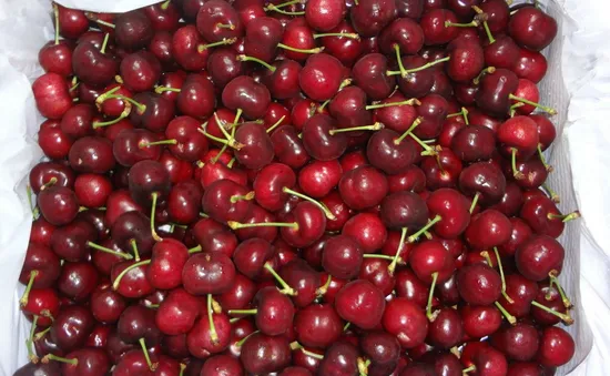 Hàng Mỹ... giá Việt hút người tiêu dùng