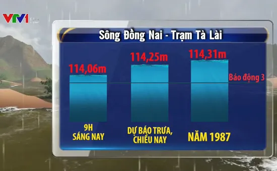 Cảnh báo lũ khẩn cấp trên sông Đồng Nai