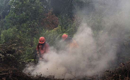Indonesia đóng cửa một sân bay vì cháy rừng gây khói mù nghiêm trọng