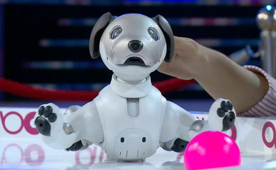 Xem chú chó robot Aibo trổ tài