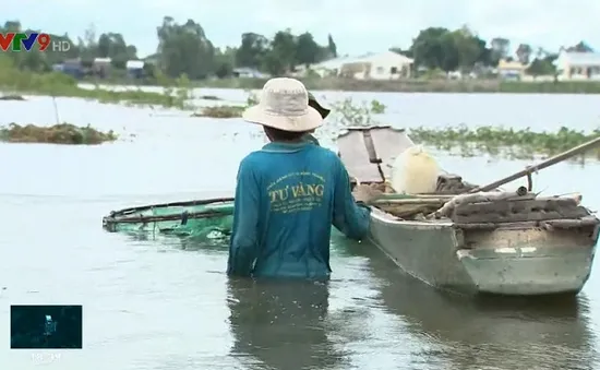 Người dân miền Tây ấm lòng mưu sinh mùa nước nổi