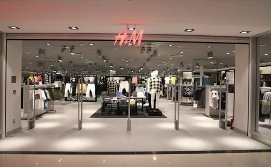 Hãng H&M ngừng mua đồ da của Brazil vì cháy rừng Amazon