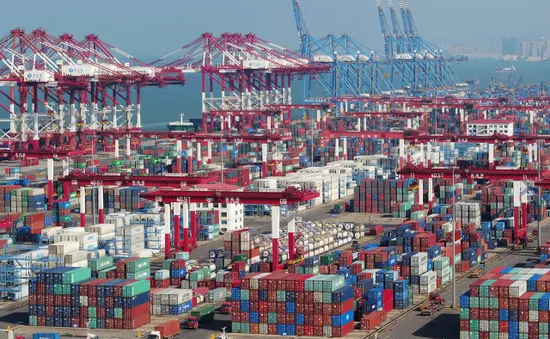 Xuất khẩu của Trung Quốc sụt giảm trong tháng 8/2019