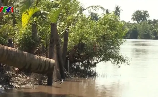 Trữ nước ngọt - Giải pháp cốt lõi ứng phó hạn, mặn ở ĐBSCL