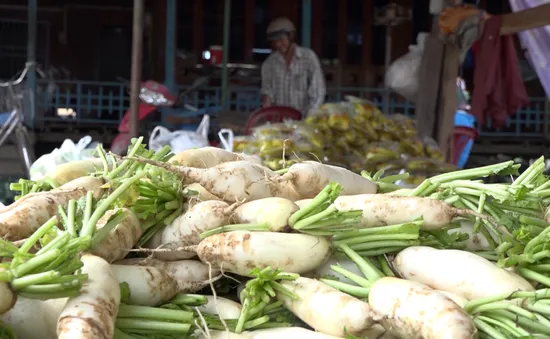Đồng Tháp vào mùa dưa cải Tết