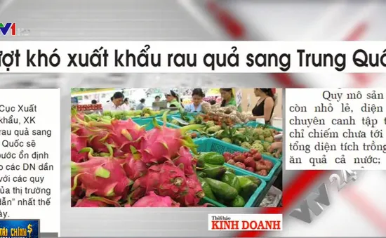 Xuất khẩu rau quả đạt 3,74 tỷ USD trong năm 2019