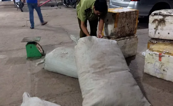Tạm giữ gần 500kg thuốc Bắc không rõ nguồn gốc