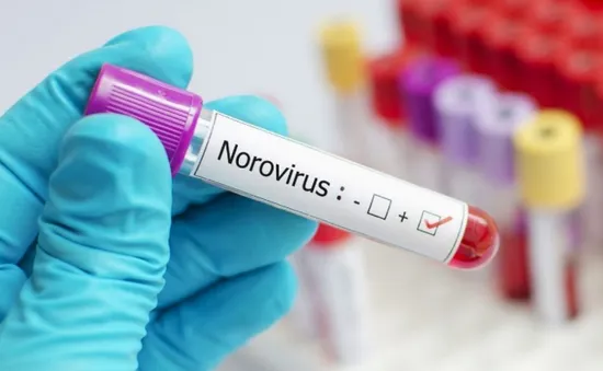 Hàng loạt sinh viên Trung Quốc nhiễm Norovirus