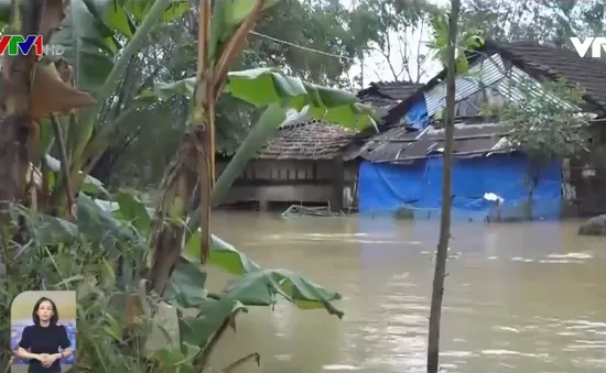Hàng ngàn hộ dân vùng trũng ở Quảng Trị bị ngập lụt trở lại
