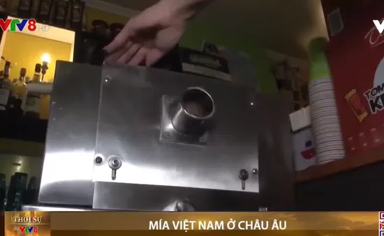 Mía Việt Nam tại Châu Âu