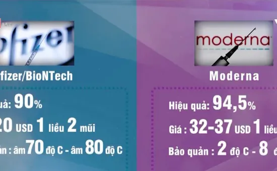 1 tỷ người có thể miễn dịch với virus SARS-CoV-2 vào cuối năm 2021