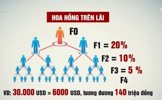 Sự thật đằng sau gói đầu tư "ngồi chơi, lấy lãi" của King of Invest?