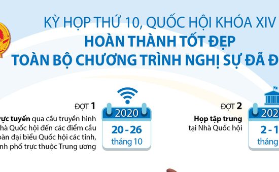 [INFOGRAPHIC] Kỳ họp thứ 10 Quốc hội khóa XIV thông qua 7 Luật, 13 Nghị quyết