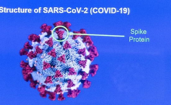 Kịch tính cuộc đua giữa vaccine COVID-19 và hàng nghìn biến thể SARS-CoV-2