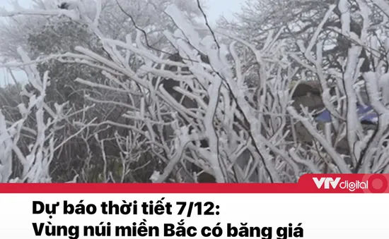 Tin nóng đầu ngày 7/12: Vùng núi miền Bắc có băng giá