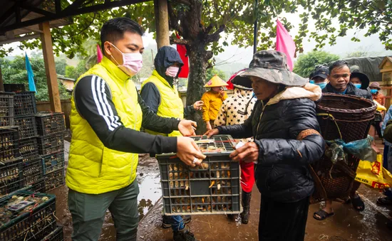 Gia súc, gia cầm là mầm cuộc sống