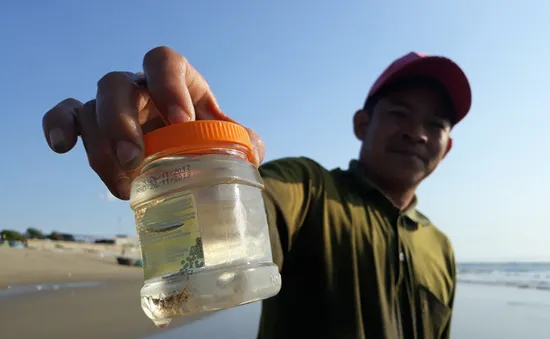 Ngư dân kiếm tiền triệu trong vòng vài giờ nhờ “lộc biển”