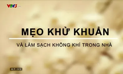 Làm sạch không gian sống bằng những cách đơn giản mà hiệu quả