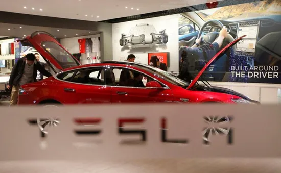 Tesla có thể nhận được hỗ trợ tài chính cho nhà máy xây dựng tại Đức