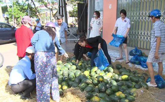 Cần Thơ hỗ trợ tiêu thụ dưa hấu