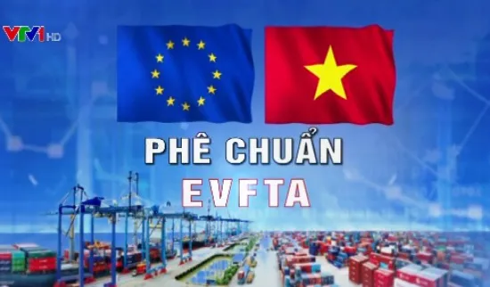 Phê chuẩn EVFTA và EVIPA: Việt Nam - Đối tác tin cậy của châu Âu