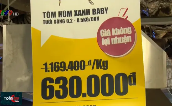 TP.HCM: Tôm hùm giá rẻ hút khách