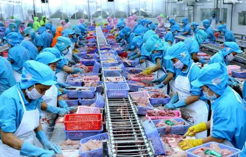 Ngành thủy sản ứng phó trước tác động của dịch nCoV