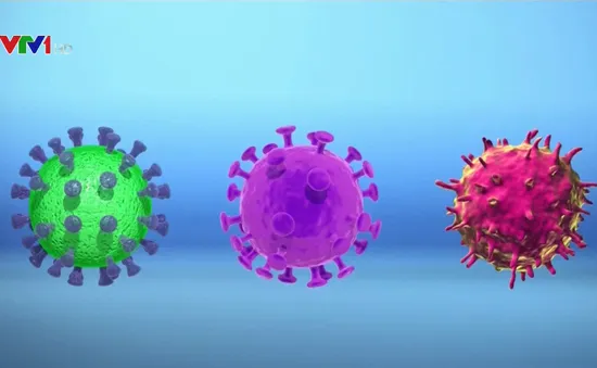 Nhật Bản phân lập thành công virus Corona mới