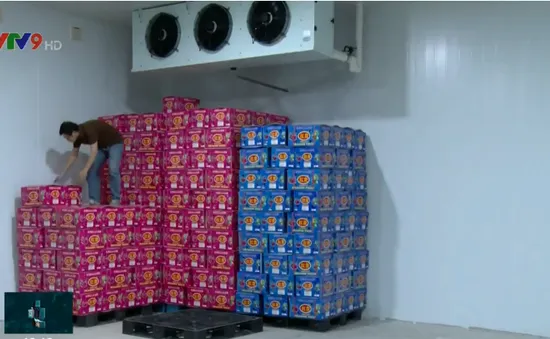 Cơ sở thu mua nông sản lỗ nặng vì dịch viêm phổi cấp do virus Corona
