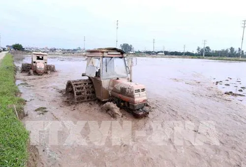 Hoàn thành lấy nước đợt 3 phục vụ gieo cấy