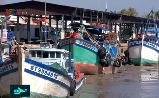 Nỗ lực không có tàu cá vi phạm, tiến tới gỡ thẻ vàng từ EC