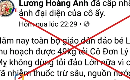 Phạt 12,5 triệu đồng nữ doanh nhân tung tin sai về tỏi Lý Sơn