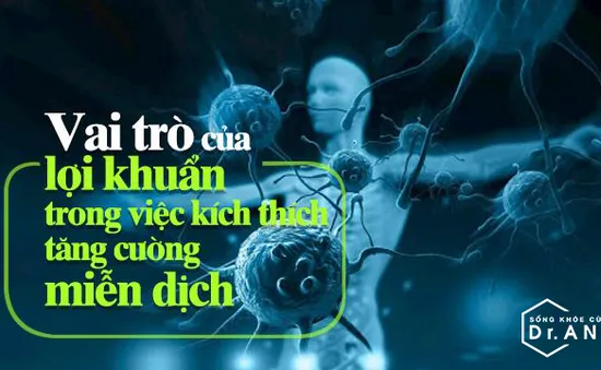 Vai trò của lợi khuẩn trong việc kích thích tăng cường miễn dịch