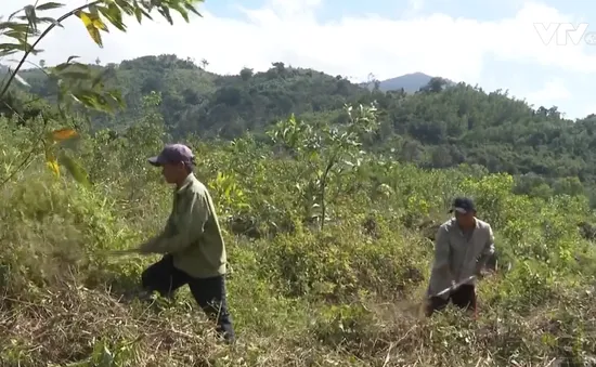 Nguy cơ cháy rừng cấp cực kỳ nguy hiểm tại Khánh Hòa