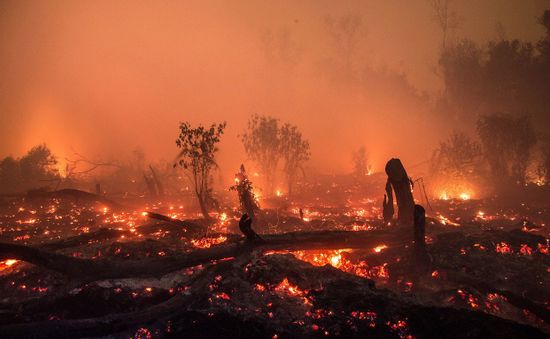 Indonesia làm mưa nhân tạo để chống cháy rừng