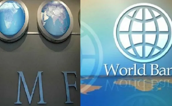 WB và IMF kêu gọi G20 giảm nợ cho các nước nghèo nhất