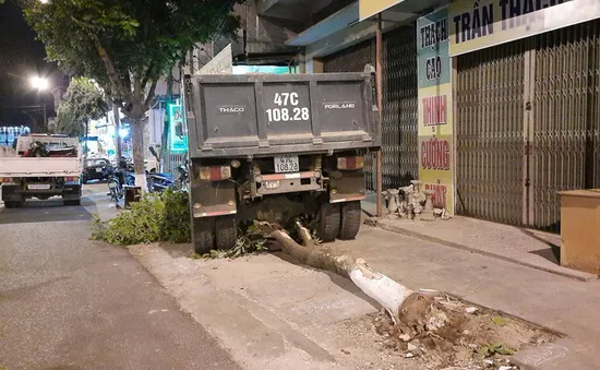 Xe ben trôi tự do gây tai nạn liên hoàn