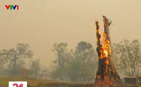 Australia dập tắt các đám cháy rừng ở New South Wales