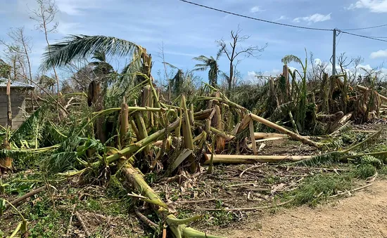 Bão Harold đổ bộ vào Fiji