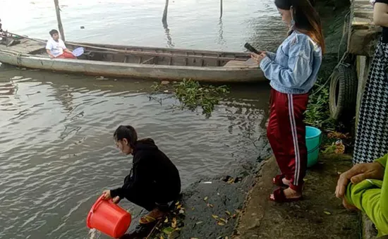 Biến tướng phóng sinh: Chích điện, đuổi theo ra giữa sông, cả tá người trực chờ bắt lại bán kiếm lời