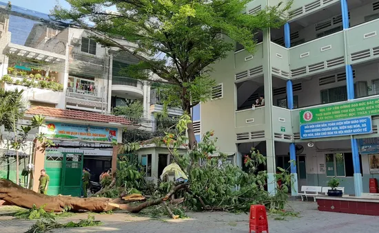 Trong 1 năm, 5 vụ tai nạn thương tích tại trường lớp: Từ cây đổ, điện giật đến bỏng lúc học