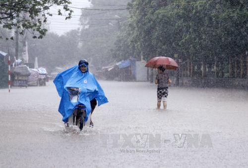 Đêm 30/5, Bắc Bộ có nơi mưa to, đề phòng thời tiết nguy hiểm