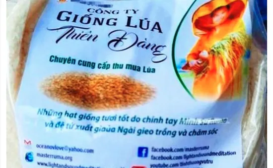 Giống lúa Thiên Đàng không nằm trong danh mục cho phép