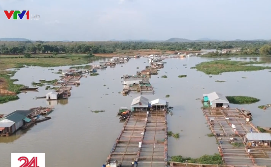 Nan giải bài toán quy hoạch làng bè La Ngà