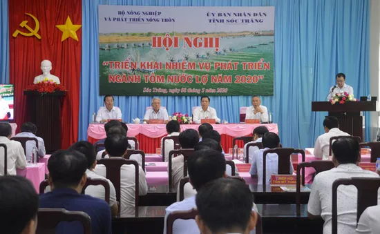 Xuất khẩu tôm sẽ khả quan hơn từ nửa cuối năm 2020