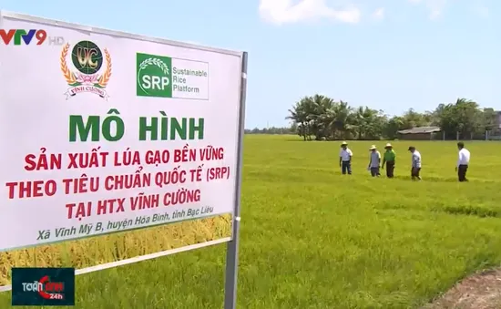 Chú trọng hợp tác, liên kết phát triển trong nông nghiệp