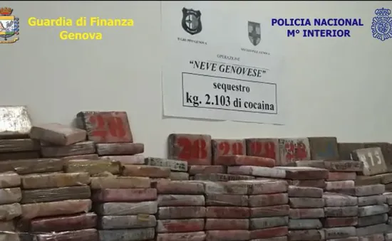 Colombia thu giữ lượng cocaine "khủng" trị giá 265 triệu USD trong các container