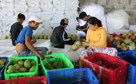 COVID-19 bùng phát trở lại ở Trung Quốc, các DN xuất khẩu cần làm gì?