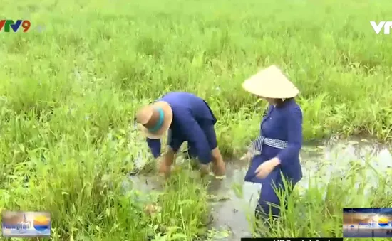 Một ngày làm nông dân đi khẩn hoang